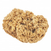 Губка натуральная для декоративных покрытий Matrix, ( 86817 )