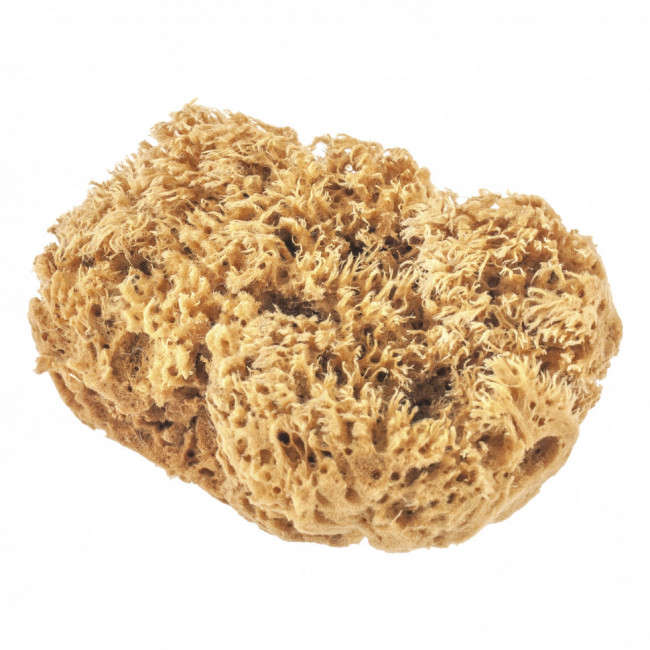 Губка натуральная для декоративных покрытий Matrix, ( 86817 ) Губка натуральная для декоративных покрытий Matrix, ( 86817 )