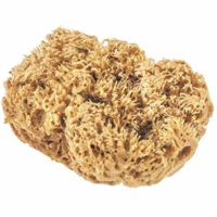 Губки для посуды